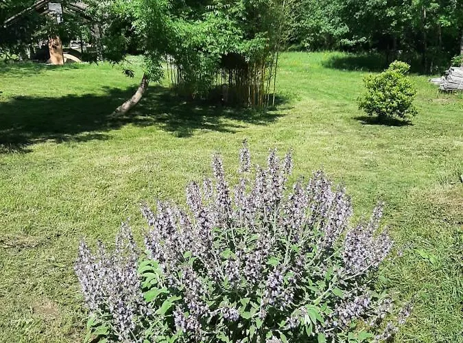 Soignee Et Accueillante A La Campagne - Ch Rouge L'Honor-de-Cos